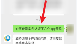 已实名QQ号大全：真实可靠的社交账号资源集合